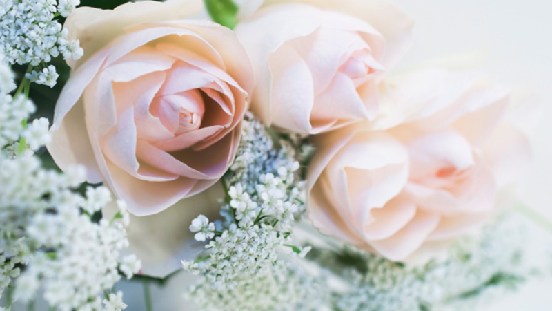 Option Anniversary plan etc.